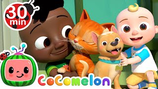 Pet Care  We Love Our Pets  CoComelon Furry Friends  Animals for Kids [upl. by Hulbert]