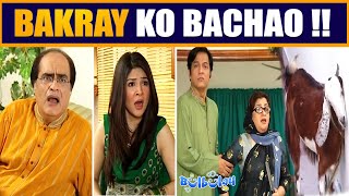 Tumhari Maa Bakra Zibah Kardegi 🤨🤭 Mehmood Sahab amp Nabeel  Bulbulay [upl. by Aramit296]