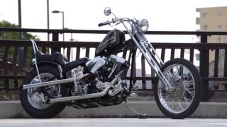 Harley Davidson Evolution Rigid 1996 Custom [upl. by Eadrahc]