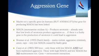 Aggression  Genetic Explanation [upl. by Ocsinarf522]