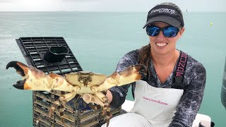 STONE CRAB  Catch and Cook in Islamorada [upl. by Nosam]