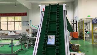 Incline Conveyor Belt System [upl. by Nettirb]