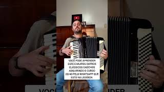 Gosto muito desta introdução acordeon gaita sanfona gaiteiro gruporodeio whatsapp 47 99954 3945 [upl. by Eatnuahc]