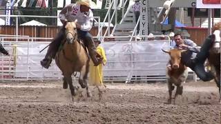 Cheyenne Frontier Days Rodeo Steer Wrestling in the Mud [upl. by Gregrory]