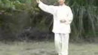 Taiji Chen Tai Chi Cannon Fist Pao Chui [upl. by Ariamo]