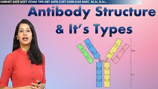 Antibody Structure amp its types I Immunology I Human health amp diseases I CSIRNET NEET GATE IITJAM [upl. by Rollo]