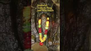 The Divine Blessings of Vishnu Secrets of Badrinath Unveiled hindu shorts [upl. by Basham168]