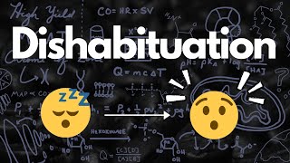 Dishabituation Surprisingly Important  MCAT [upl. by Aerdnahs660]