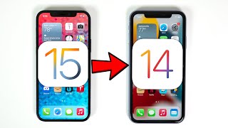 How to Downgrade iOS 15 to iOS 14 Without Losing Data [upl. by Willing47]