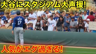 球界No1ドジャース大谷の人気がエグい事に！現地映像 [upl. by Yssac]