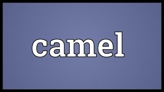 Camel Meaning [upl. by Gould]