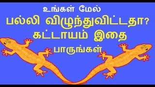 palli vilum palan in tamil for both male and female  palli vizhum sastram [upl. by Nnasus]