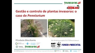 Webinar quotGestão e controlo de plantas invasoras o caso de Pennisetumquot [upl. by Krahling]