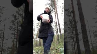 berries lingonberry forest suomi finland viral youtubeshorts metsä mökki [upl. by Ttennaj]