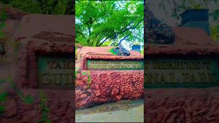 Guindy National parkSnake park In Chennai [upl. by Nnyw]