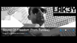 lak3y SounD of FreeDoMTouche Pas à Ma Tunisie 2011 [upl. by Cowie428]