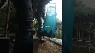 Mancing Ikan Patin Dan Nilla Umpan Cacing Bayemkp kedung gajah p rogo [upl. by Tehcac]