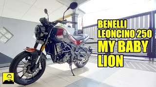 BENELLI LEONCINO 250 SE ABS 2023  MY BABY LION [upl. by Orlando]