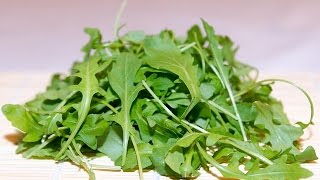 Rucola anbauen und aussäen mit Balkon Gärtner Christian [upl. by Nosdivad]