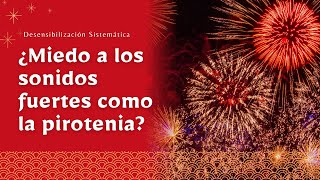 ¿Miedo a los sonidos fuertes cómo la Pirotecnia Ejercicios fáciles para nuestras mascotas [upl. by Deeas364]