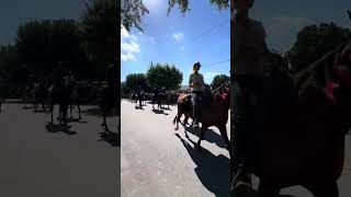 2024 Mule Days Parade Finale 75th Anniversary Benson North Carolina [upl. by Acinomaj766]