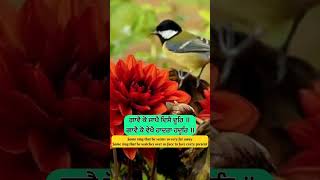 Some sing that he seems so very far away livegurbani motivation chaupaisahibnitnem chaupaisahib [upl. by Happ]