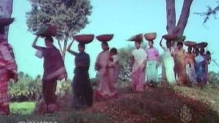 Kannada Hit Songs  Negila Hididu From Beladingalagi Baa [upl. by Gentilis250]