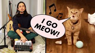 The Kiffness x Cala  I Go Meow Singing Cat [upl. by Anaicilef]