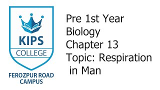 Respiration in Man  1st Year Biology  Chapter No 13 [upl. by Converse565]