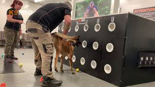 Scent detection training [upl. by Eyaj]