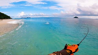 Beach Fishing❗Hunting Fish For Food  Catch And Cook  Palawan  Philippines [upl. by Cooperstein]