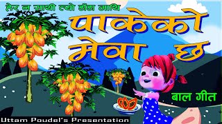 Pakeko Mewa Chha • Children Song • Hera Na Sathi Tyo Dada Mathi • बाल गीत • School Kids Rhyme [upl. by Shelah]