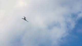 Planespotting Rare Beechcraft Starship Landing [upl. by Tnilc]