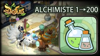 MÉTIER ALCHIMISTE 1 → 200  Gryfox DOFUS [upl. by Eenehs]