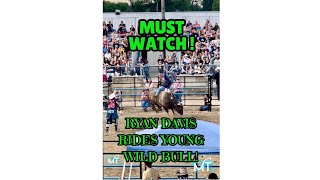 Ryan Davis Rides Young Wild Bull ryandavis rodeo bullriding easternmichigan shorts [upl. by Oahc]