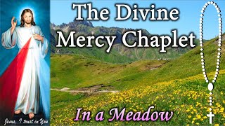 Divine Mercy Chaplet in a Meadow Virtual [upl. by Moclam]