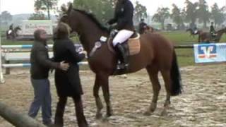 ♘ ReitSpringTurnier♘ in Sendenhorst TriebusFallenberg [upl. by Naahsar]