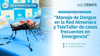 Manejo de Dengue en la Red Almenara y TeleTaller de casos frecuentes en Emergencia [upl. by Ashlee769]