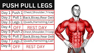 Push Pull Legs Workout Plan  PPL [upl. by Geithner53]