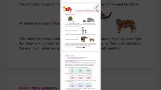 Ch 8 Comparison of Adjectives English Grammar Class 3 [upl. by Eartnoed]