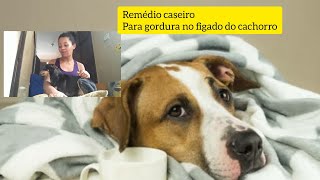 Cachorro com Doença Hepática O que fazer remédio caseiro [upl. by Hildegaard]