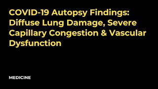 COVID19 Autopsy Findings Diffuse Lung Damage Severe Capillary Congestion amp Vascular Dysfunction [upl. by Najram]