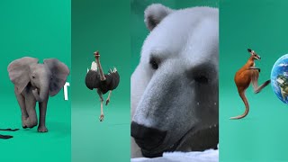 All Planet Zoo Opening Videos OUTDATED NEW VIDEO IN DESCRIPTION [upl. by Naruq]