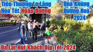 Quá Khủng Hoa Tết Ngập Đường Đà Lạt Tiểu Thương Lo Lắng [upl. by Anilegna]