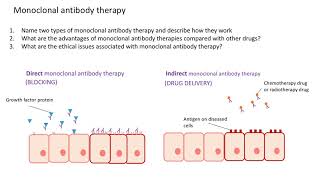 Monoclonal antibodies in healthcare revision Monoclonal antibody therapy [upl. by Epilihp46]