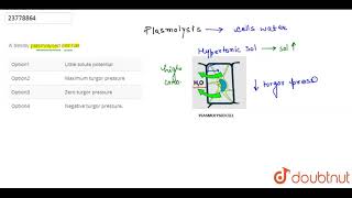 A freshly plasmolysed cell has  12  Plant Growth and Movements  BIOLOGY  DINESH PUBLICATION [upl. by Kali]