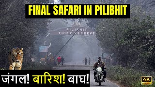 Ep 6  Pilibhit Jungle Safari in Rain  Off to Kishanpur  Exciting and Thrilling Wildlife Safari [upl. by Llerdnek265]