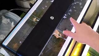 DIY Glass Top Aquarium [upl. by Acirre508]