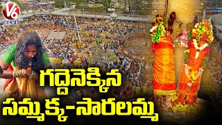 Devotees Throng To See Sammakka Sarakka Arrival In Medaram Gadde  Medaram Jatara 2022  V6 News [upl. by Ballman]