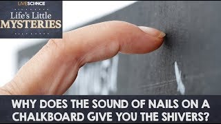 Why Does the Sound of Nails on a Chalkboard Give You the Shivers [upl. by Paulie]